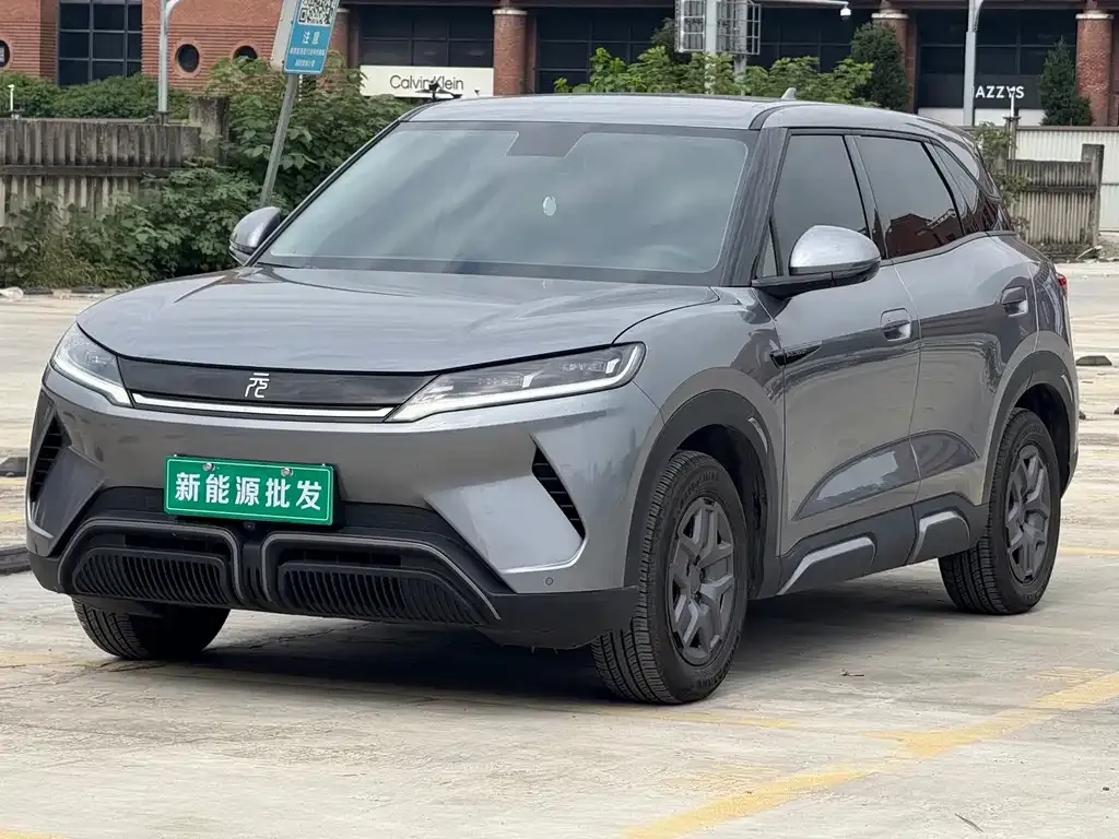 2024 BYD Yuan UP 401km Vitality
