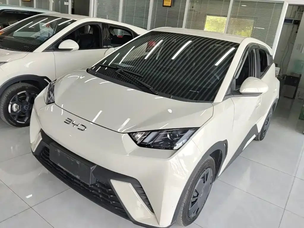 2024 BYD Seagull Honor 305km Vitality
