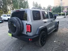 2021 Tank 300 Off-road 2.0T Conqueror — фото 7