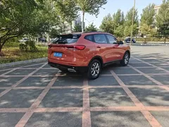 2021 Haval H6 1.5T AT Champion — фото 5