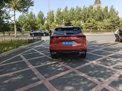 2021 Haval H6 1.5T AT Champion — фото 6