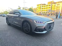 2022 BYD Han PHEV 121KM Premium — фото 14