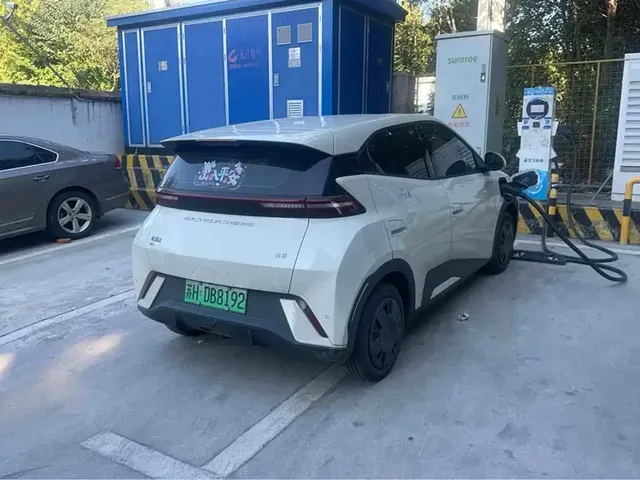 2023 BYD Seagull Vitality