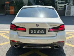 2021 BMW 5 Series 530Li Leading M Sport Package, белый — фото 6