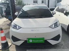 2025 BYD Seagull Smart Driving 305km Freedom, белый — фото 3
