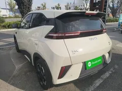 2025 BYD Seagull Smart Driving 305km Freedom, белый — фото 5