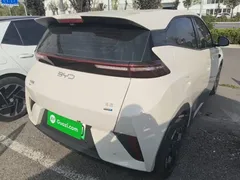 2025 BYD Seagull Smart Driving 305km Freedom, белый — фото 7