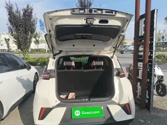 2025 BYD Seagull Smart Driving 305km Freedom, белый — фото 19
