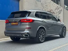 2022 BMW X5 30Li Premium M Sport Package — фото 7