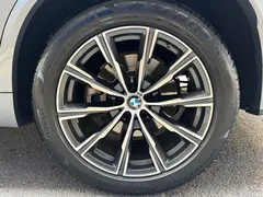 2022 BMW X5 30Li Premium M Sport Package — фото 19