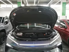 2025 BYD Tang L PHEV 175km Drone Edition, зелёный — фото 20