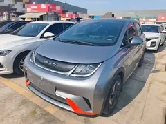 2021 BYD Dolphin 405km Fashion — фото 2