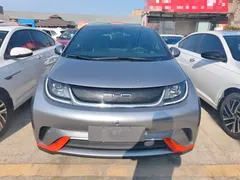 2021 BYD Dolphin 405km Fashion — фото 3