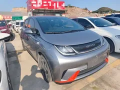 2021 BYD Dolphin 405km Fashion — фото 4
