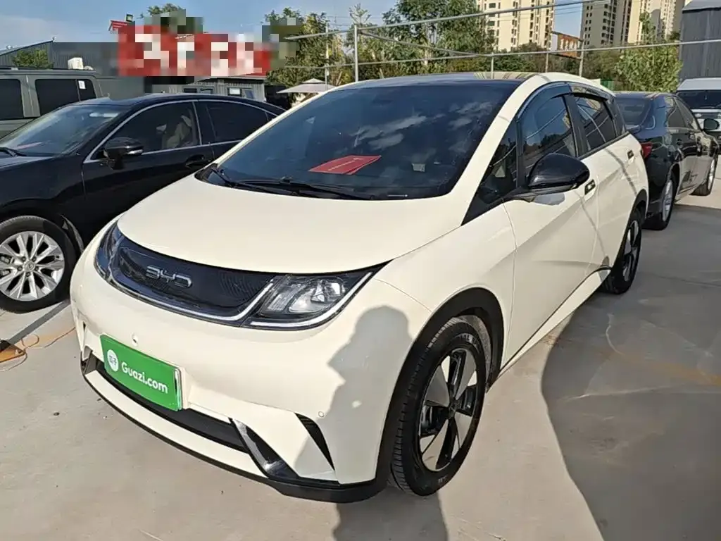 2023 BYD Dolphin 420km Fashion
