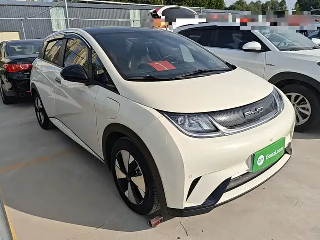 2023 BYD Dolphin 420km Fashion