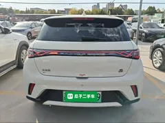 2023 BYD Dolphin 420km Fashion, белый — фото 6
