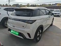 2023 BYD Dolphin 420km Fashion, белый — фото 7