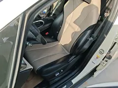 2023 BYD Dolphin 420km Fashion, белый — фото 15