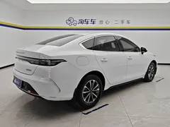 2024 BYD Destroyer 05 DM-i PHEV 55km Luxury, белый — фото 3