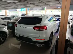 2021 Haval H6 1.5T AT Champion, белый — фото 7
