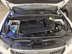 2021 Haval H6 1.5T AT Champion, белый — фото 20