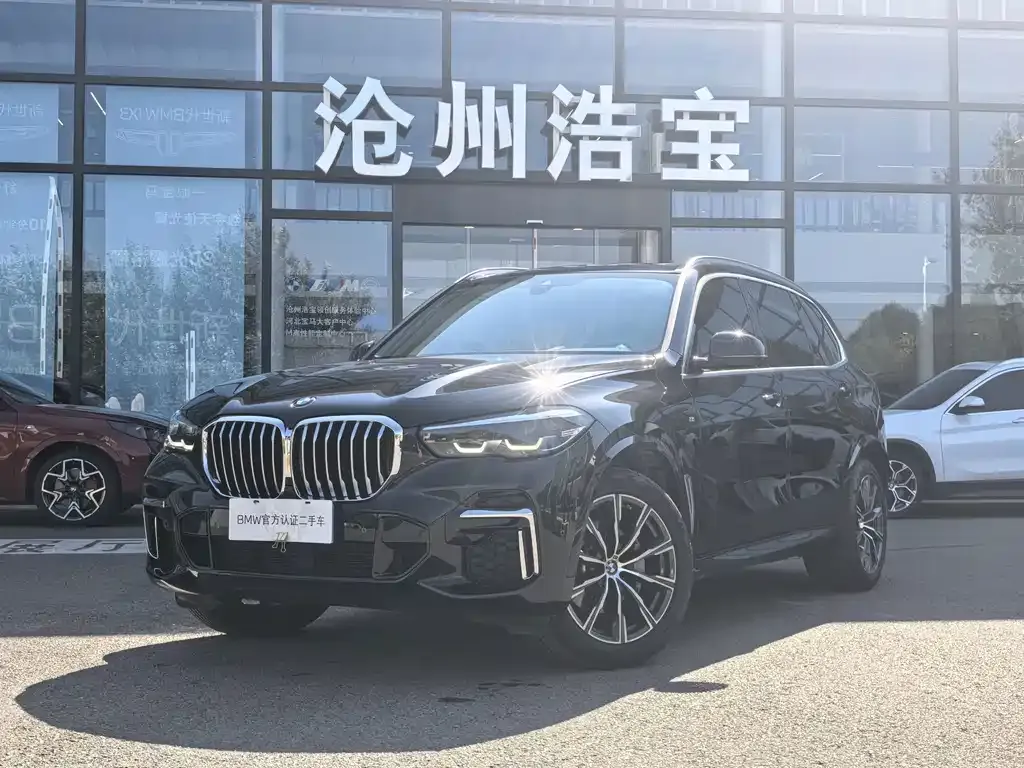 2022 BMW X5 30Li M Sport Package