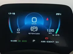 2021 BYD Dolphin 405km Fashion — фото 12