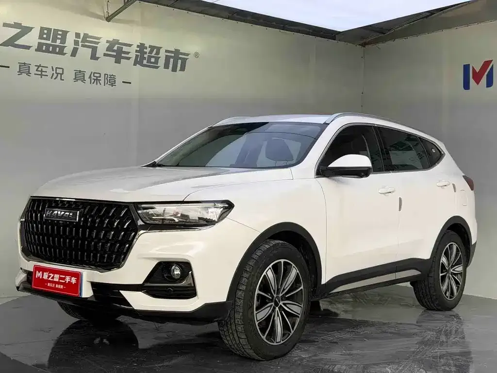 2023 Haval H6 1.5T AT Guochao Champion