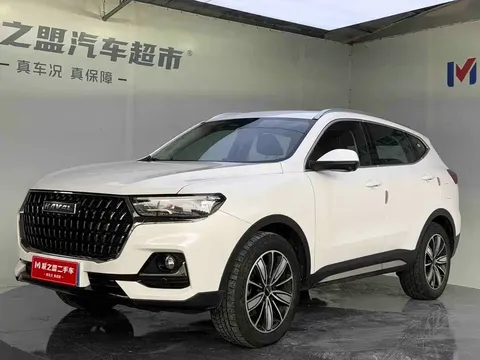 2023 Haval H6 1.5T AT Guochao Champion