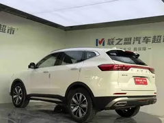 2023 Haval H6 1.5T AT Guochao Champion, белый — фото 4