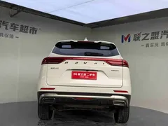 2023 Haval H6 1.5T AT Guochao Champion, белый — фото 5