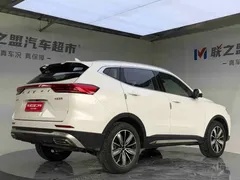 2023 Haval H6 1.5T AT Guochao Champion, белый — фото 6