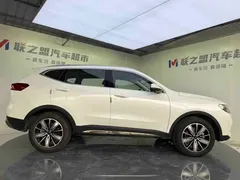 2023 Haval H6 1.5T AT Guochao Champion, белый — фото 7