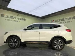 2023 Haval H6 1.5T AT Guochao Champion, белый — фото 9