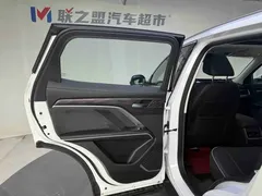 2023 Haval H6 1.5T AT Guochao Champion, белый — фото 13