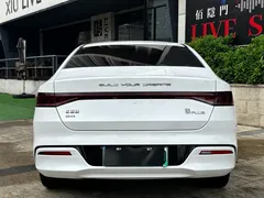 2023 BYD Qin PLUS Champion DM-i PHEV 55KM Leading, белый — фото 8