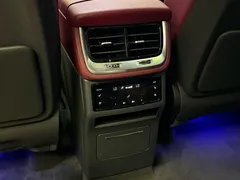 2022 Hongqi E-HS9 EV 660km Qichang 6-seat, белый — фото 14