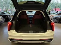 2022 Hongqi E-HS9 EV 660km Qichang 6-seat, белый — фото 26
