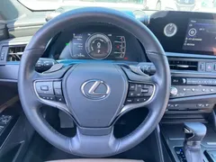 2021 Lexus ES 300h Hybrid Premium — фото 12