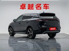 2021 BYD Tang DM-i PHEV 112km Premium, чёрный — фото 8