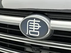 2021 BYD Tang DM-i PHEV 112km Premium, чёрный — фото 26