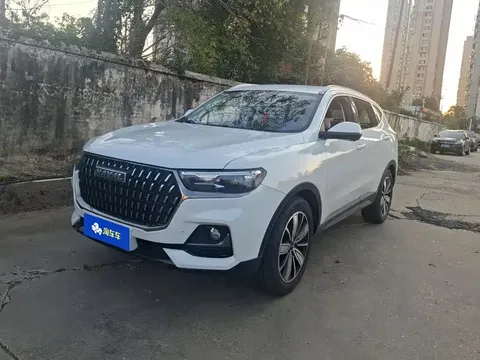 2023 Haval H6 1.5T AT Guochao Champion