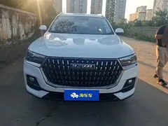 2023 Haval H6 1.5T AT Guochao Champion, белый — фото 2
