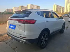 2023 Haval H6 1.5T AT Guochao Champion, белый — фото 3