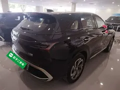 2025 Hongqi HS3 PHEV 117km, чёрный — фото 7