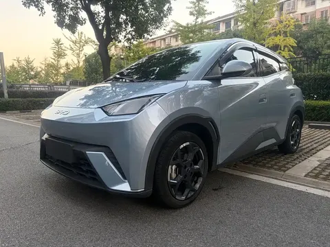2024 BYD Seagull Honor 305km Vitality