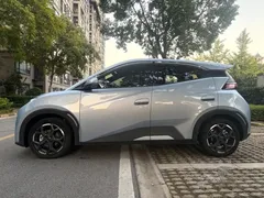 2024 BYD Seagull Honor 305km Vitality, синий — фото 6