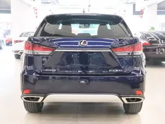 2020 Lexus RX 300 2WD Comfort, синий — фото 4