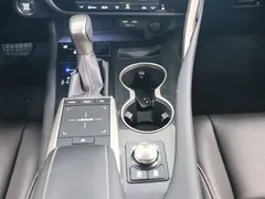 2020 Lexus RX 300 2WD Comfort, синий — фото 10